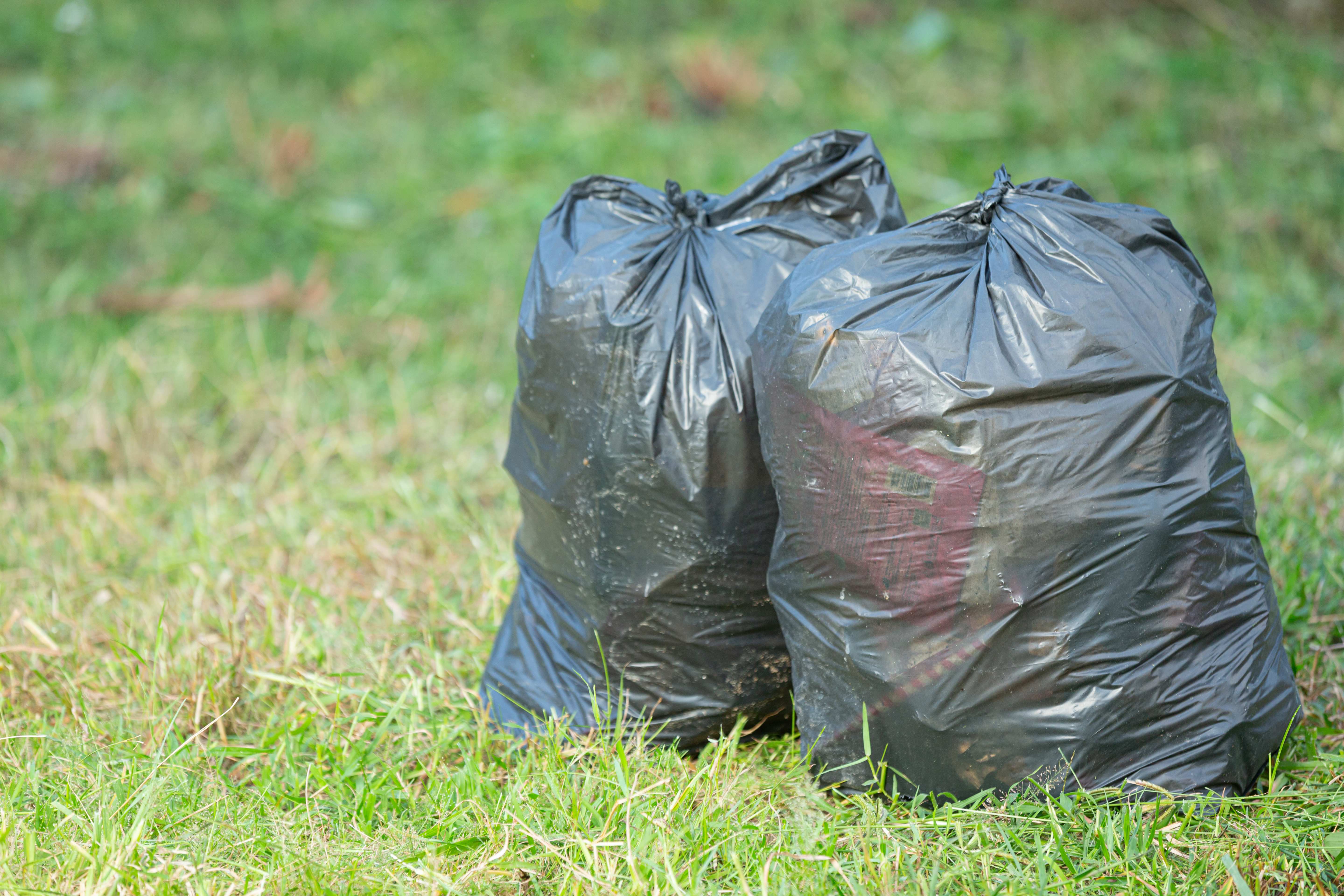 From waste to worth: A young lady using waste to make beauty products speaks!