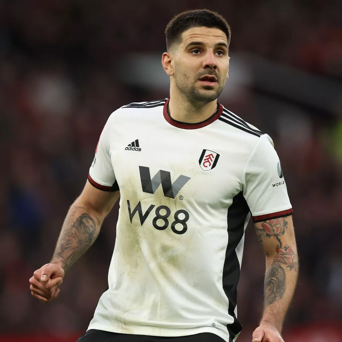 Fulham wagoma kumuachia Aleksandar Mitrovic