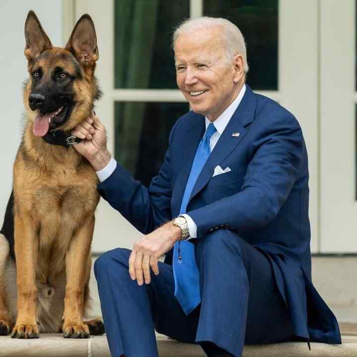 Mbwa wa Biden afukuzwa Ikulu