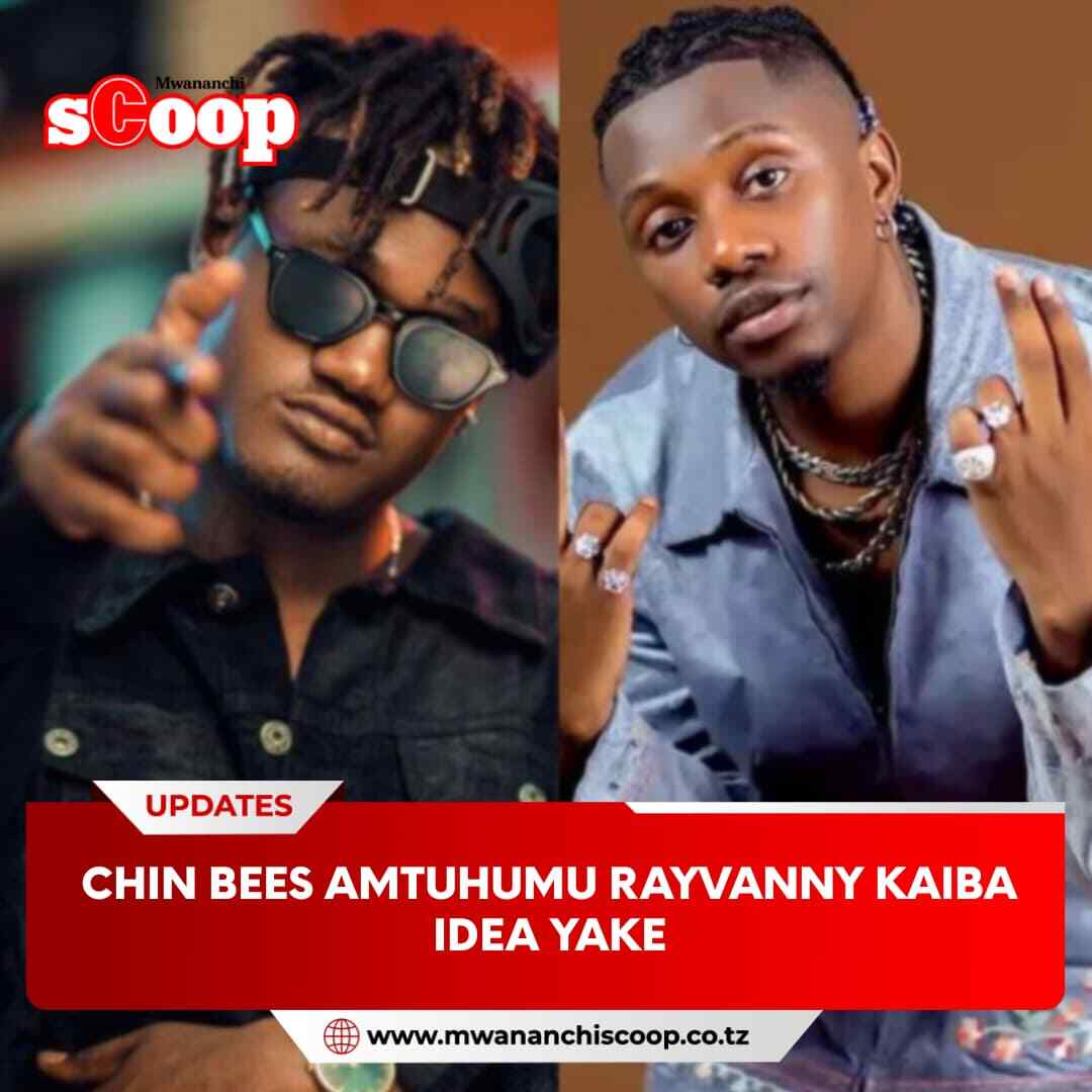 Chin Bees amtuhumu Rayvanny kaiba idea yake