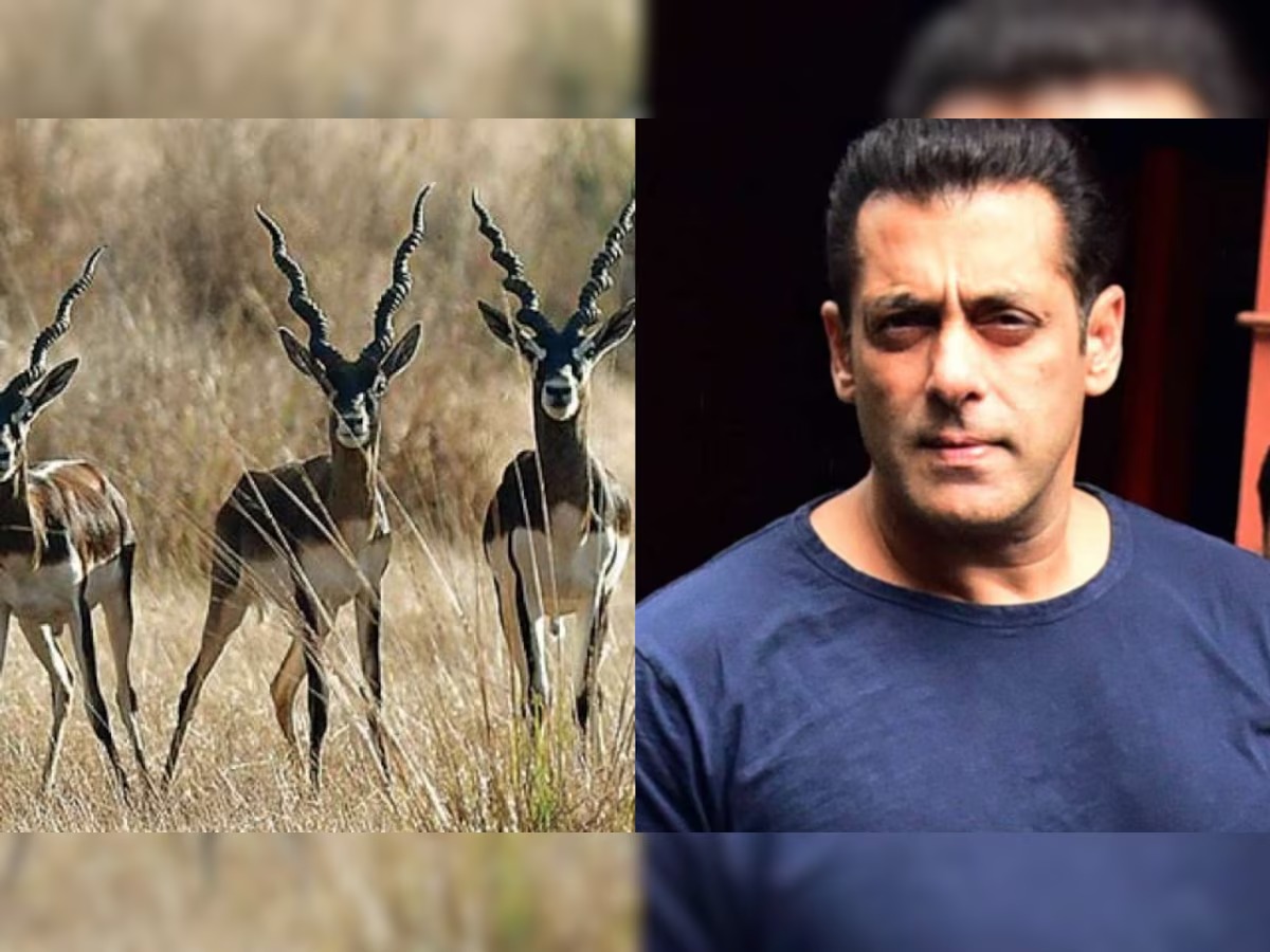 Kesi Ya Salman Khan Kuhusu Uwindaji Haramu Yapamba Moto